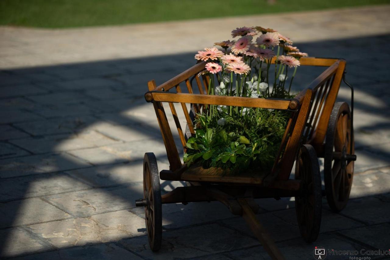 La Dimora Dei Conti Bed & Breakfast Collemeto Екстериор снимка