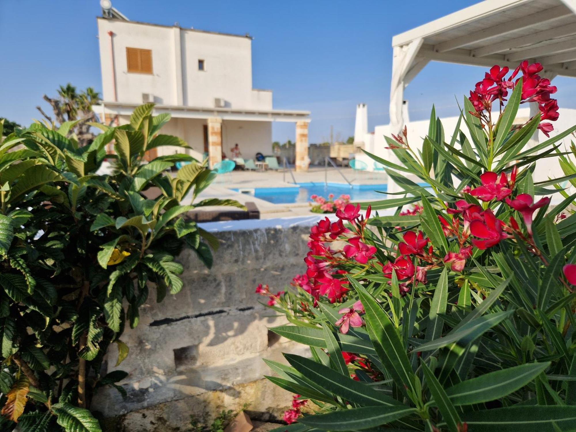 La Dimora Dei Conti Bed & Breakfast Collemeto Екстериор снимка